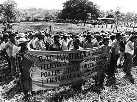  La Revuelta de los Tr thirteen Farmers; Un Hito Crucial en la Historia Agraria Vietnamita